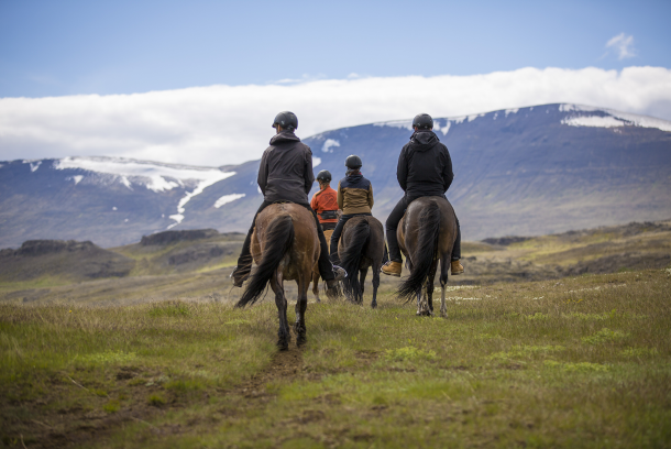 Reiten in Island